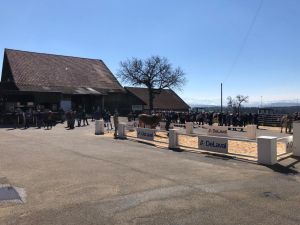 3341e9c8-daab-4dbc-9ccb-6d2a1222010a